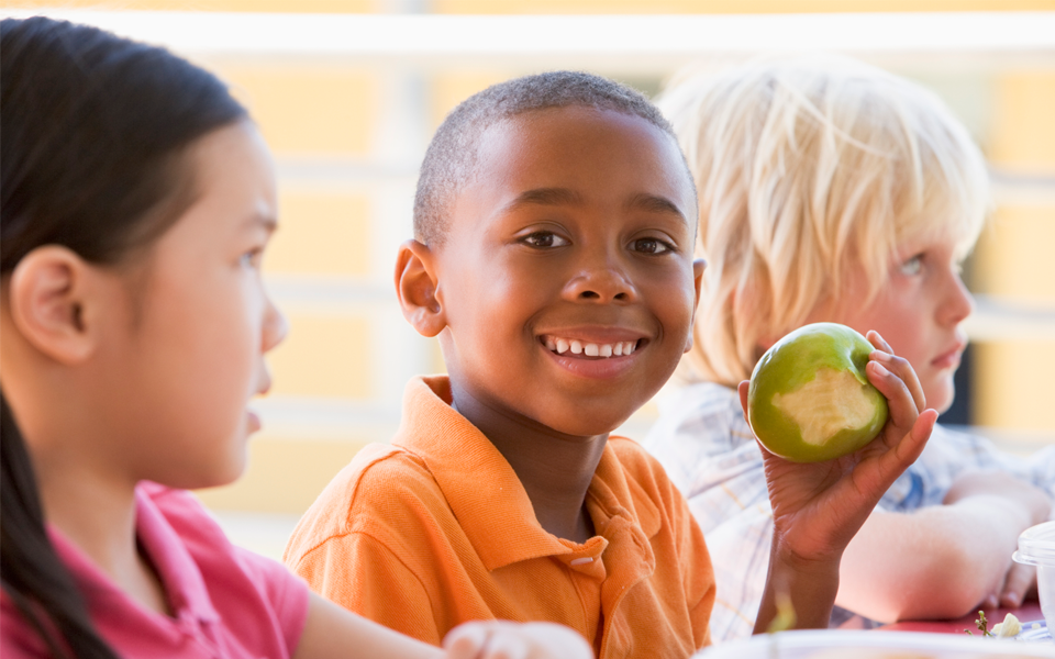 Alimentação na escola: confira dicas de lanches saudáveis para o seu filho